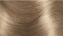 Kremowa farba do włosów 7/10 ASH MEDIUM BLONDE AMALFI